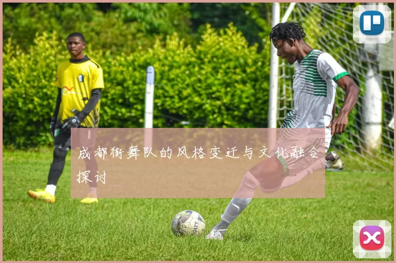 成都街舞队的风格变迁与文化融合探讨