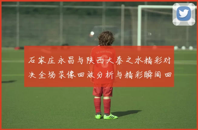 石家庄永昌与陕西大秦之水精彩对决全场录像回放分析与精彩瞬间回顾