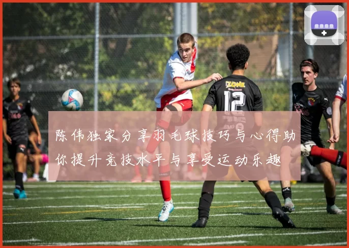 陈伟独家分享羽毛球技巧与心得助你提升竞技水平与享受运动乐趣