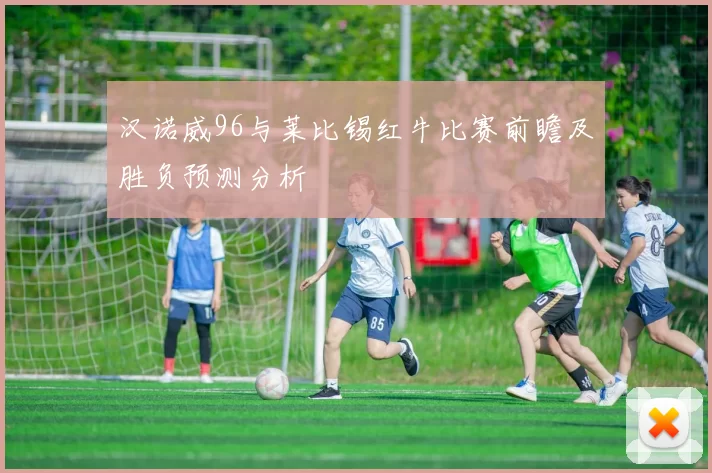 汉诺威96与莱比锡红牛比赛前瞻及胜负预测分析