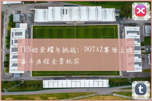 TES的荣耀与挑战：DOTA2赛场上的奋斗历程全景纪实