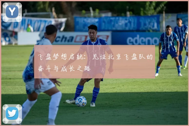 飞盘梦想启航：见证北京飞盘队的奋斗与成长之路