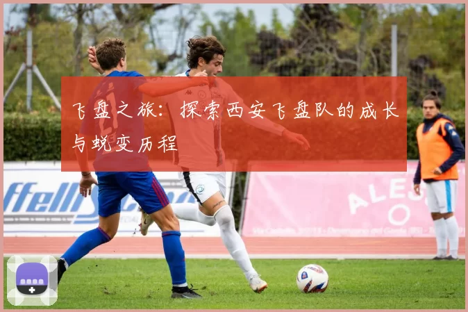 飞盘之旅：探索西安飞盘队的成长与蜕变历程