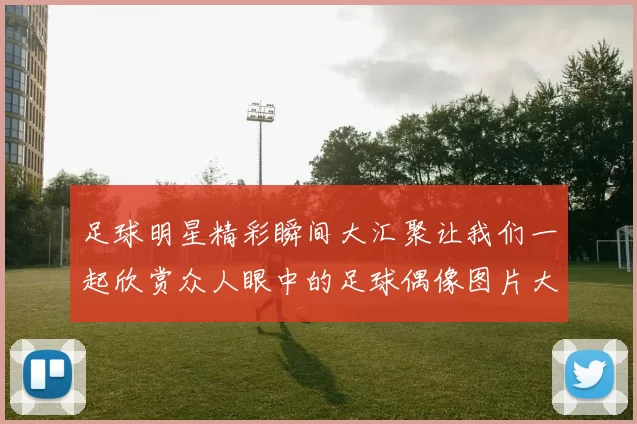 足球明星精彩瞬间大汇聚让我们一起欣赏众人眼中的足球偶像图片大全