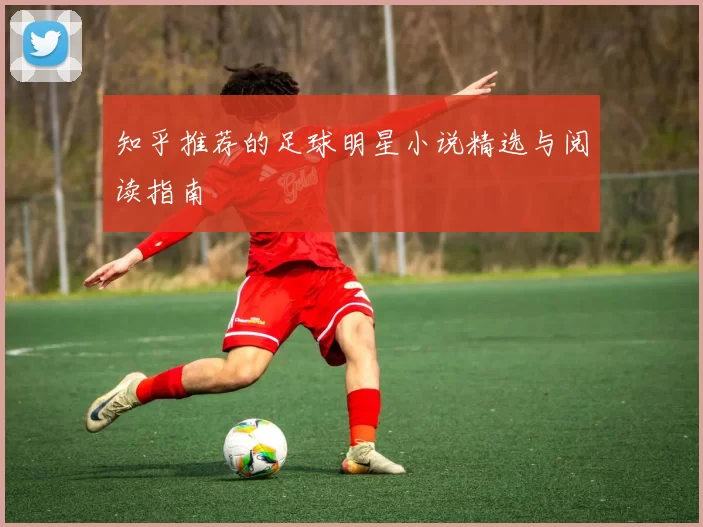 知乎推荐的足球明星小说精选与阅读指南