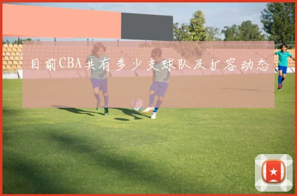 目前CBA共有多少支球队及扩容动态