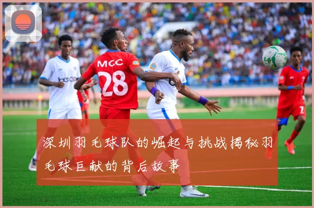 深圳羽毛球队的崛起与挑战揭秘羽毛球巨献的背后故事