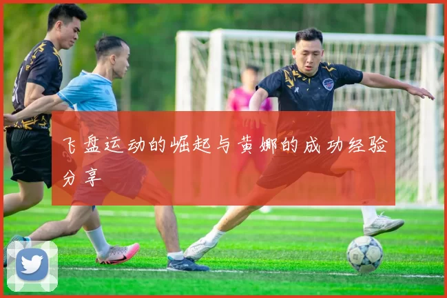飞盘运动的崛起与黄娜的成功经验分享